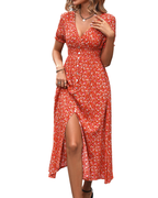 Women’s V-Neck Short Sleeve Printed Smocked Maxi Dress